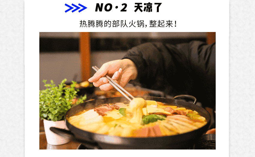 5.gif